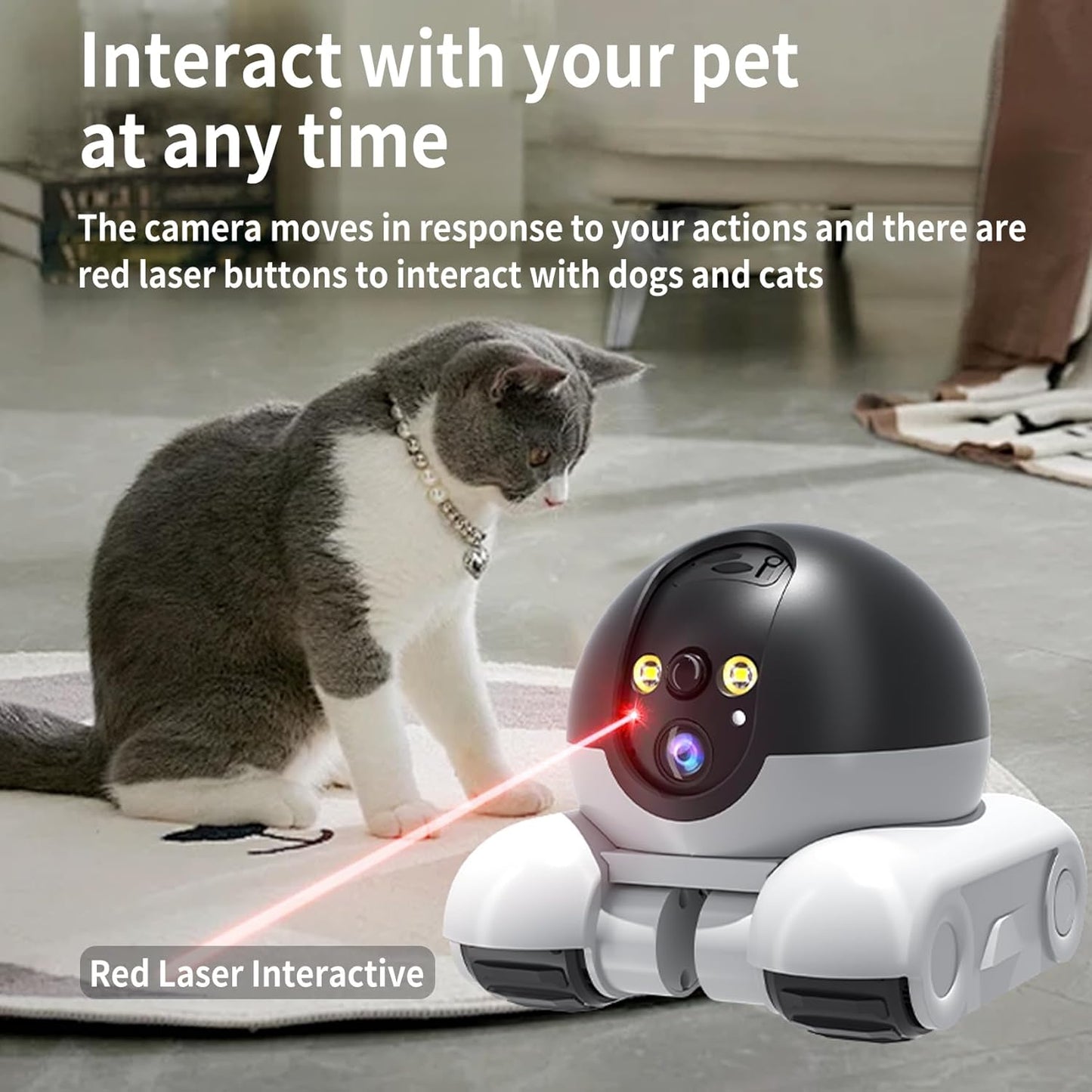 LivioBot - Livio Smart Companion