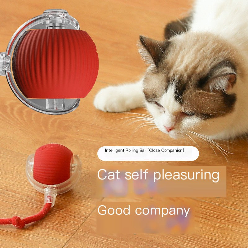 Bite-resistant automatic cat teasing ball cat toy ball with rope pet supplies jumping ball