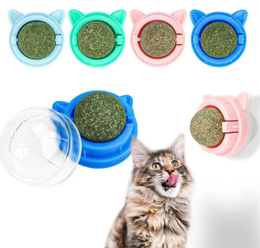 Boules d'herbe à chat naturelles, collation d'herbe pour chaton, grattoirs, friandises à mâcher, haleine fraîche pour chat de petite et moyenne taille
