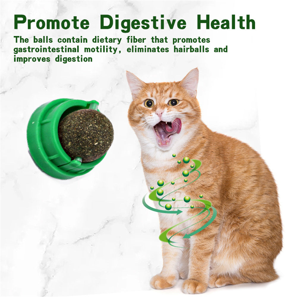 Boules d'herbe à chat naturelles, collation d'herbe pour chaton, grattoirs, friandises à mâcher, haleine fraîche pour chat de petite et moyenne taille