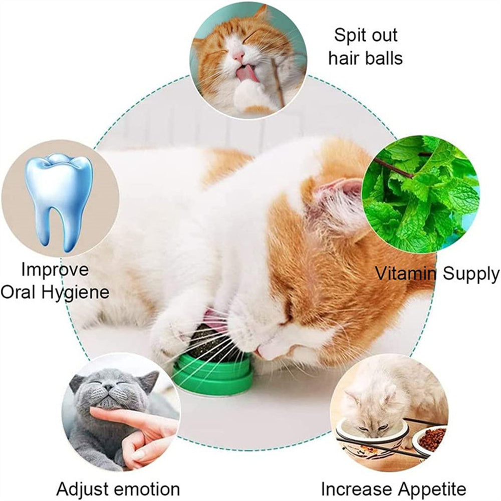 Boules d'herbe à chat naturelles, collation d'herbe pour chaton, grattoirs, friandises à mâcher, haleine fraîche pour chat de petite et moyenne taille