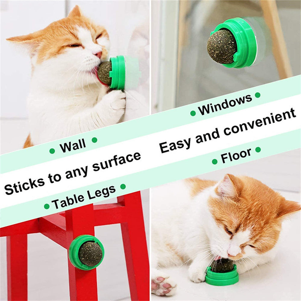 Boules d'herbe à chat naturelles, collation d'herbe pour chaton, grattoirs, friandises à mâcher, haleine fraîche pour chat de petite et moyenne taille