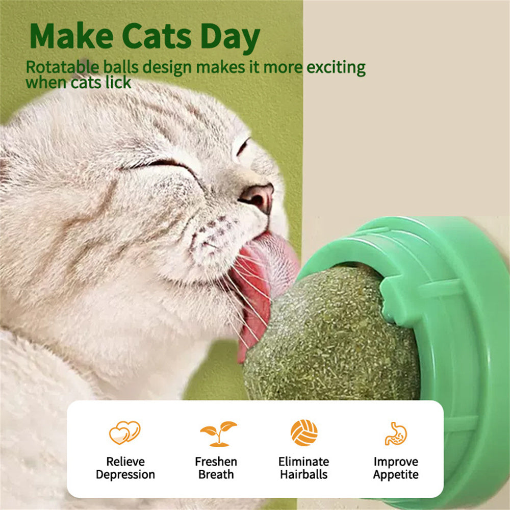 Boules d'herbe à chat naturelles, collation d'herbe pour chaton, grattoirs, friandises à mâcher, haleine fraîche pour chat de petite et moyenne taille