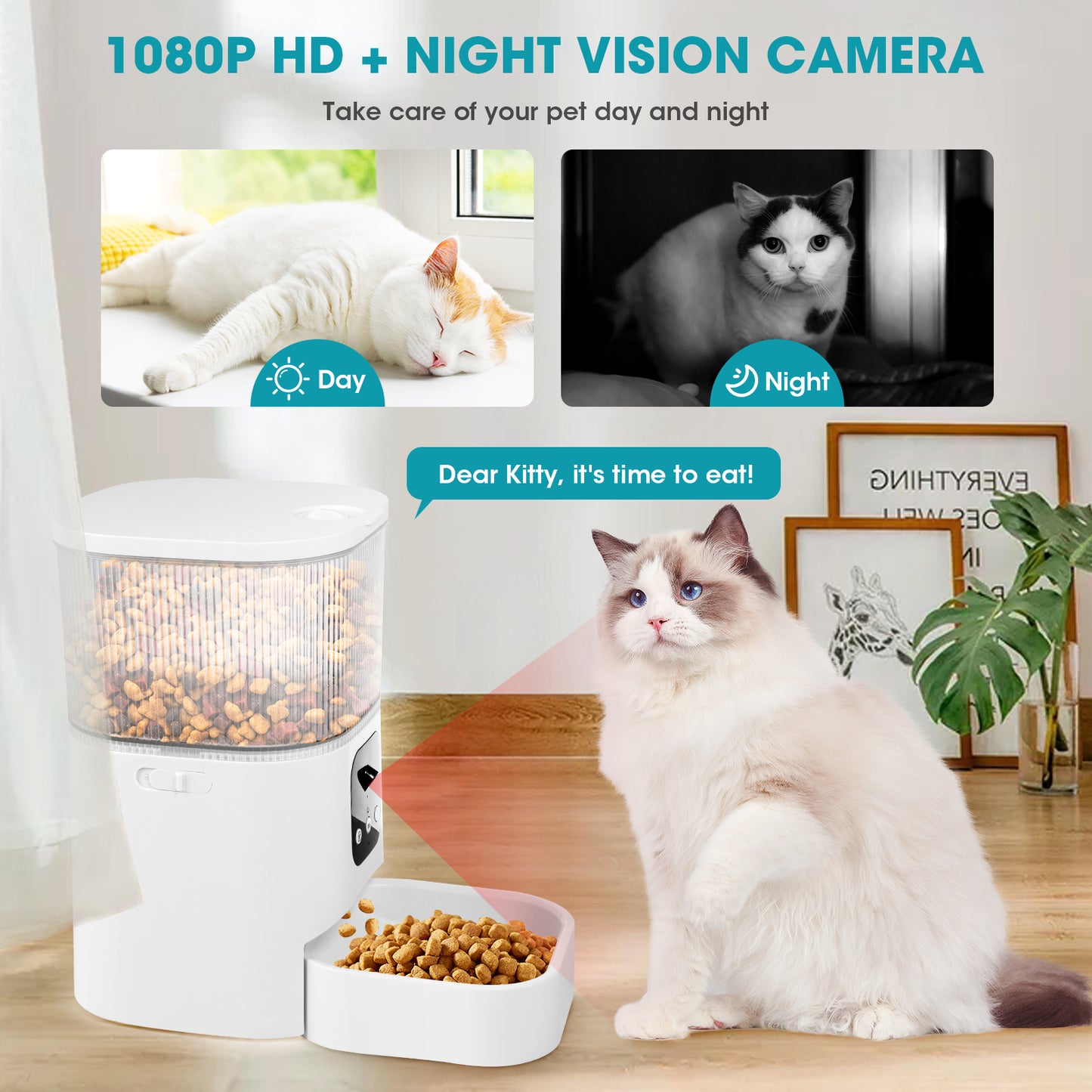 Mangeoire automatique pour chat avec caméra HD