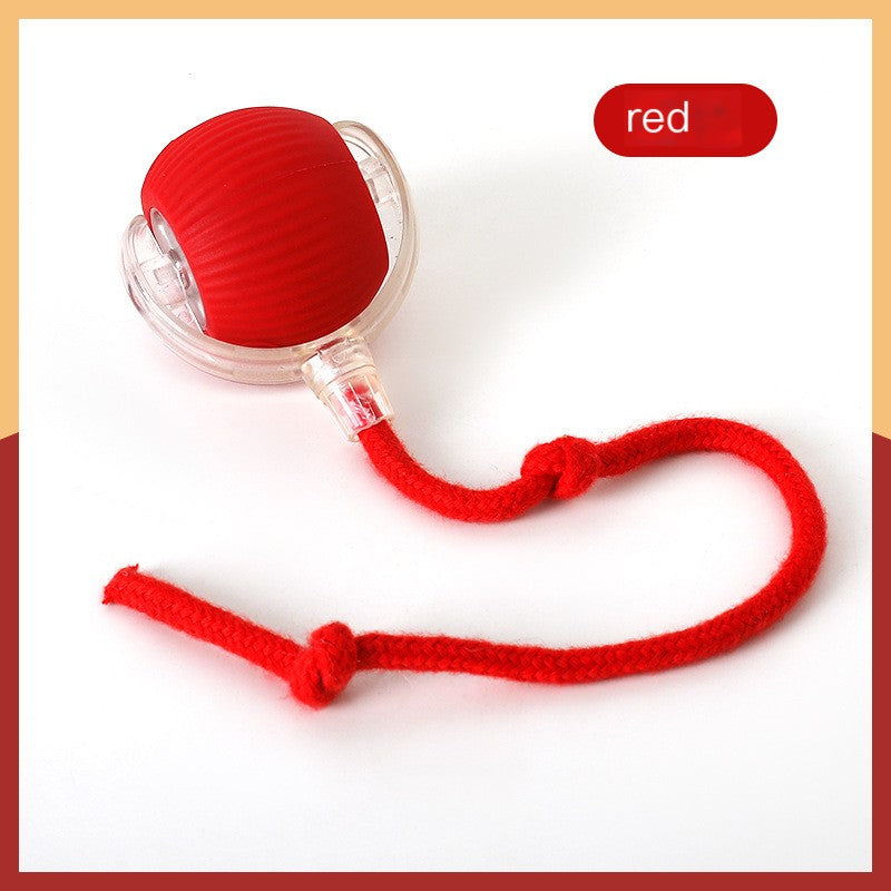 Bite-resistant automatic cat teasing ball cat toy ball with rope pet supplies jumping ball