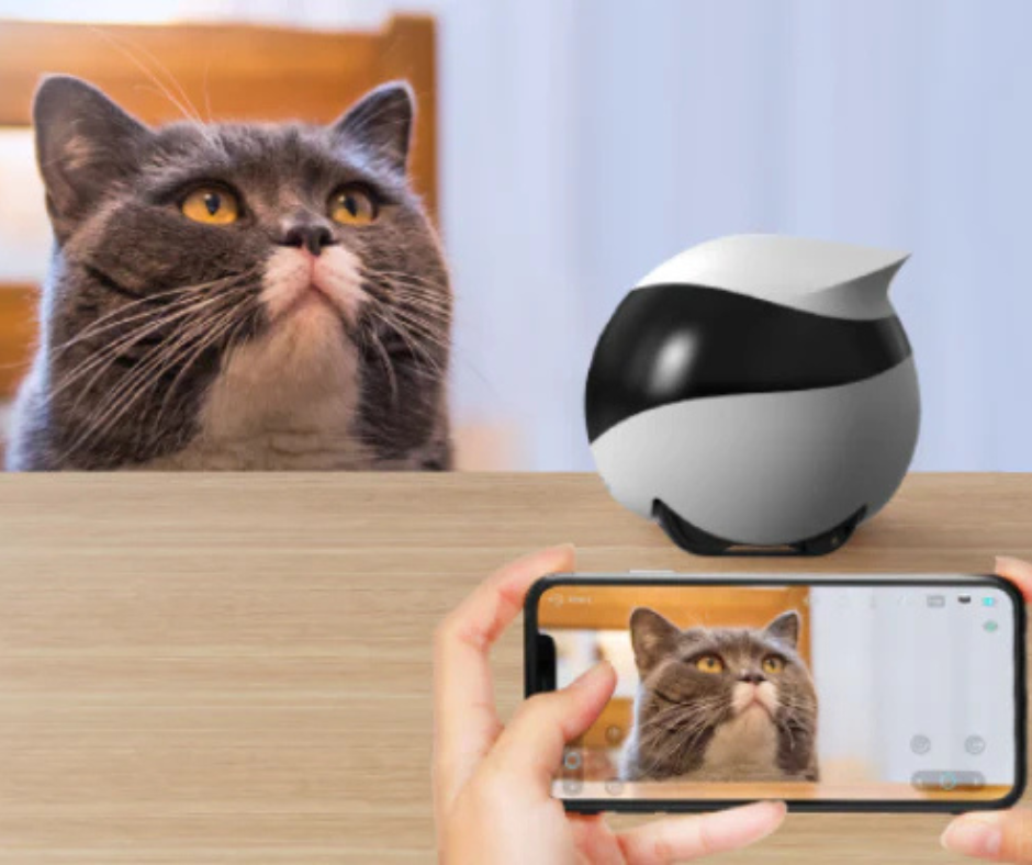 Enabot EBO SE - Livio Smart Companion