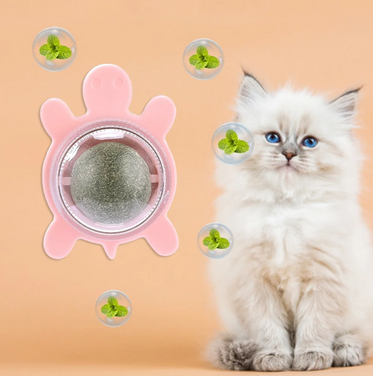 Boules d'herbe à chat naturelles, collation d'herbe pour chaton, grattoirs, friandises à mâcher, haleine fraîche pour chat de petite et moyenne taille