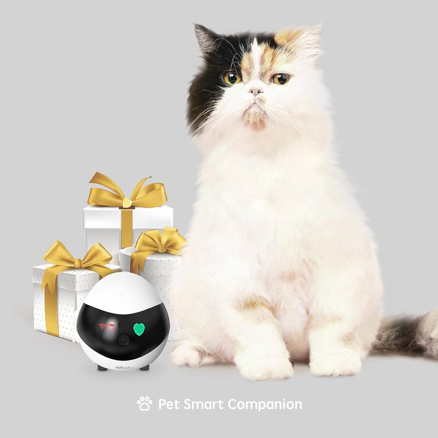 Enabot EBO SE - Livio Smart Companion